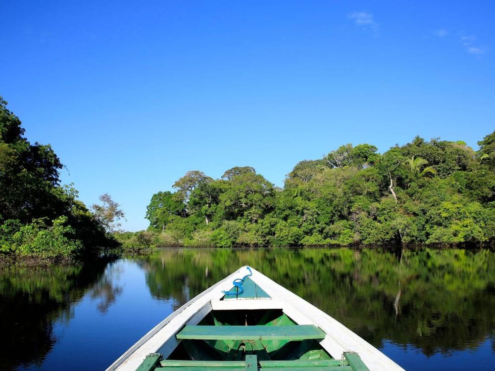 Amazon Rainforest, Brazil