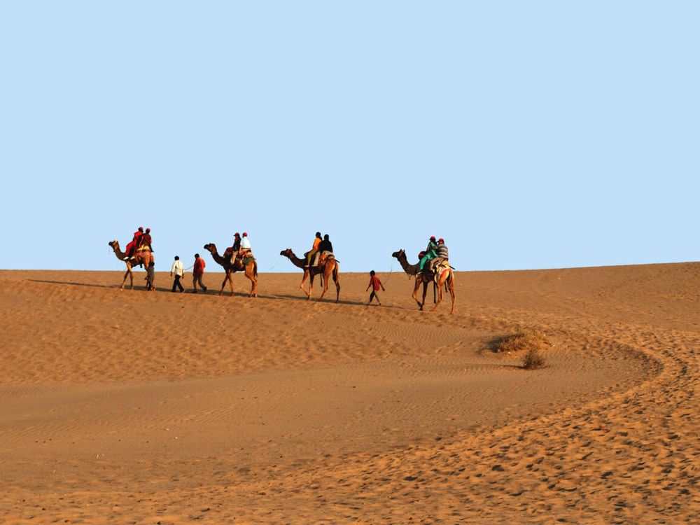 Camel Safari in Jaisalmer. 