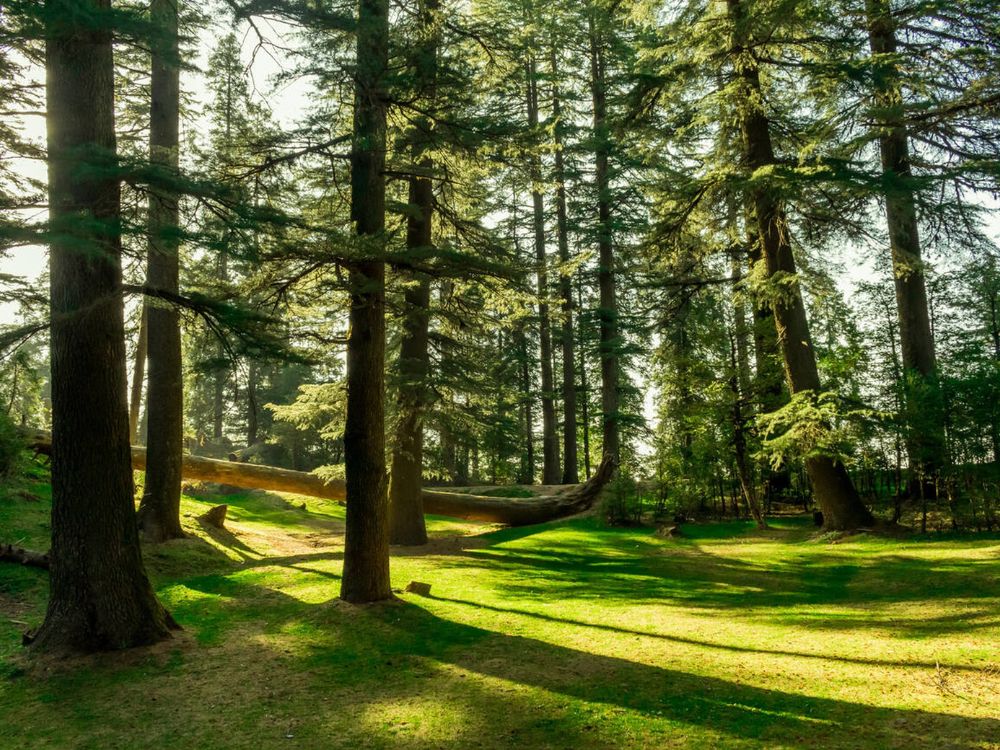Kalatop wildlife sanctuary