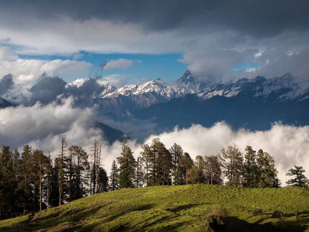 Dayara Bugyal Meadow
