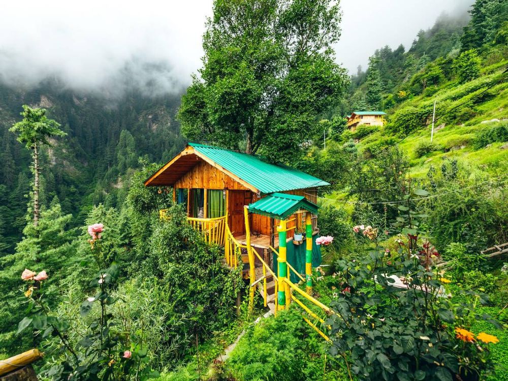 Treehouse in Jibhi forest - best thing in Jibhi