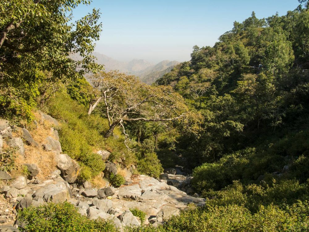 Boulders in the forests of Mount Abu Wildlife Sanctuary