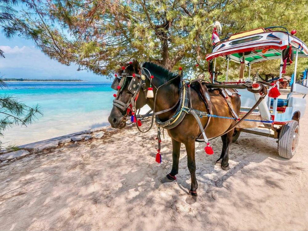 A decorated horse drawn cart known as a cidomo, on Gili Meno island in Lombok province, Indonesia