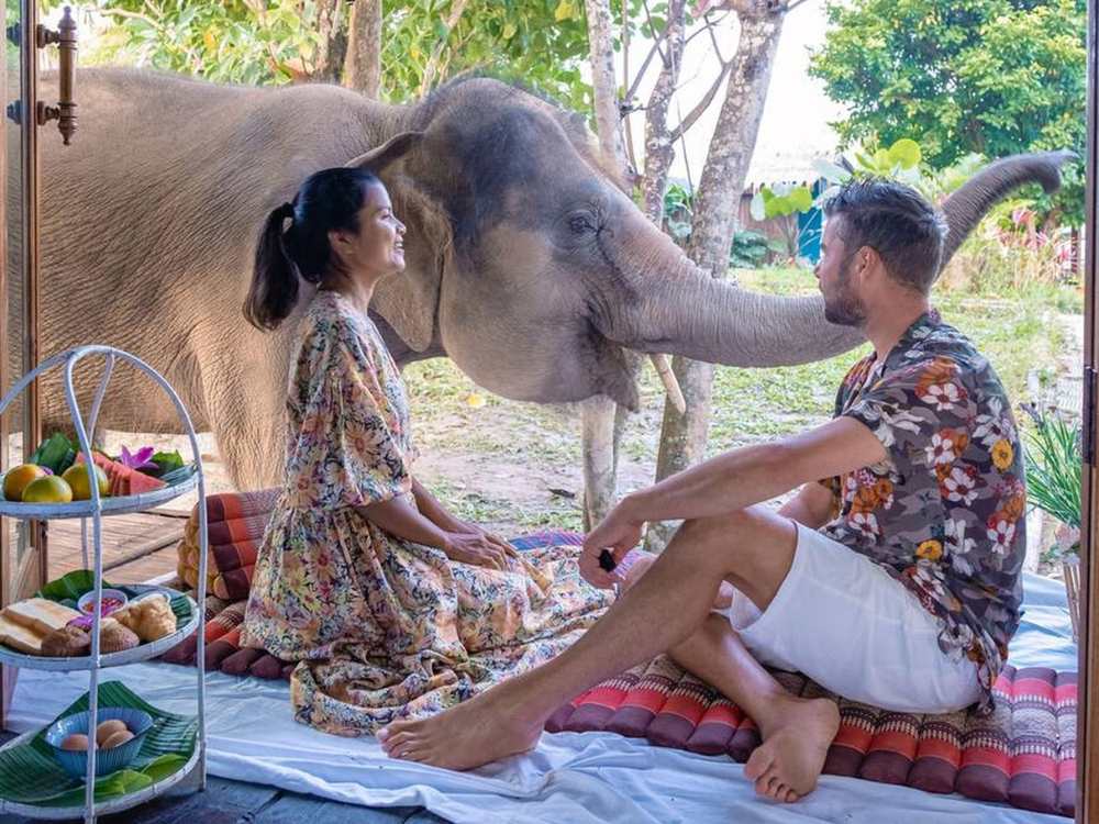 Elephant farm in the moutnains jungle of Chiang Mai Tailand