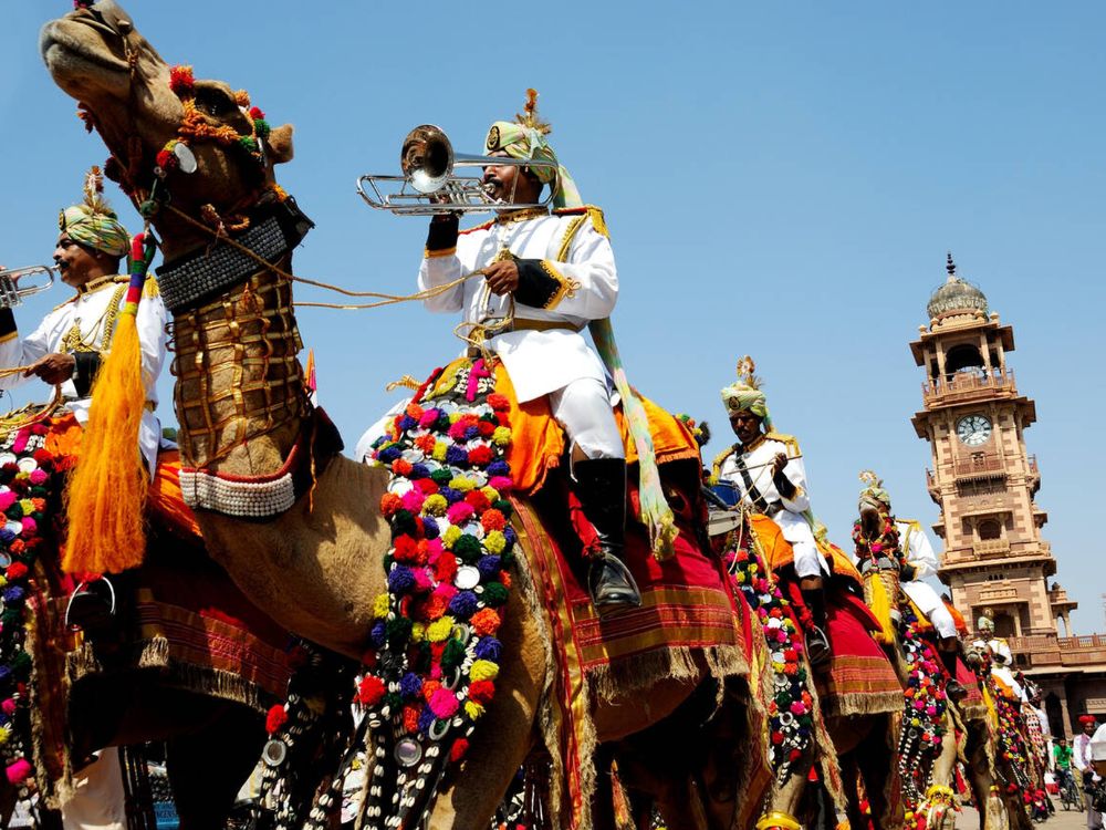 Camel parade at the Marwar Festival