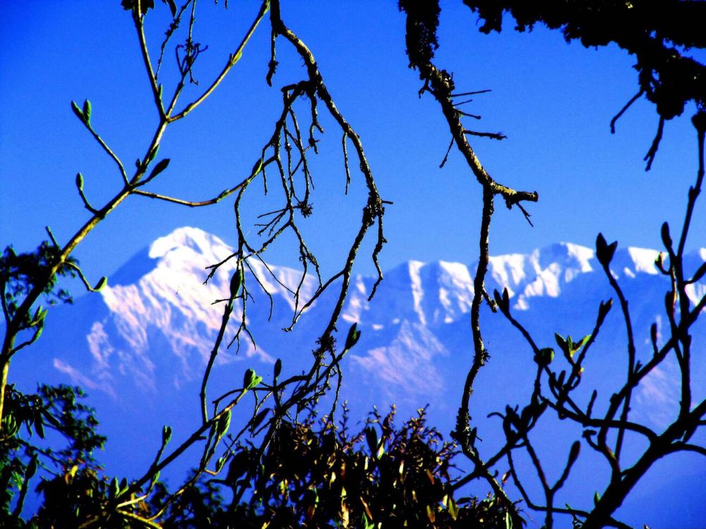 View of Himalayas from Binsar, Almora, Uttarakhand