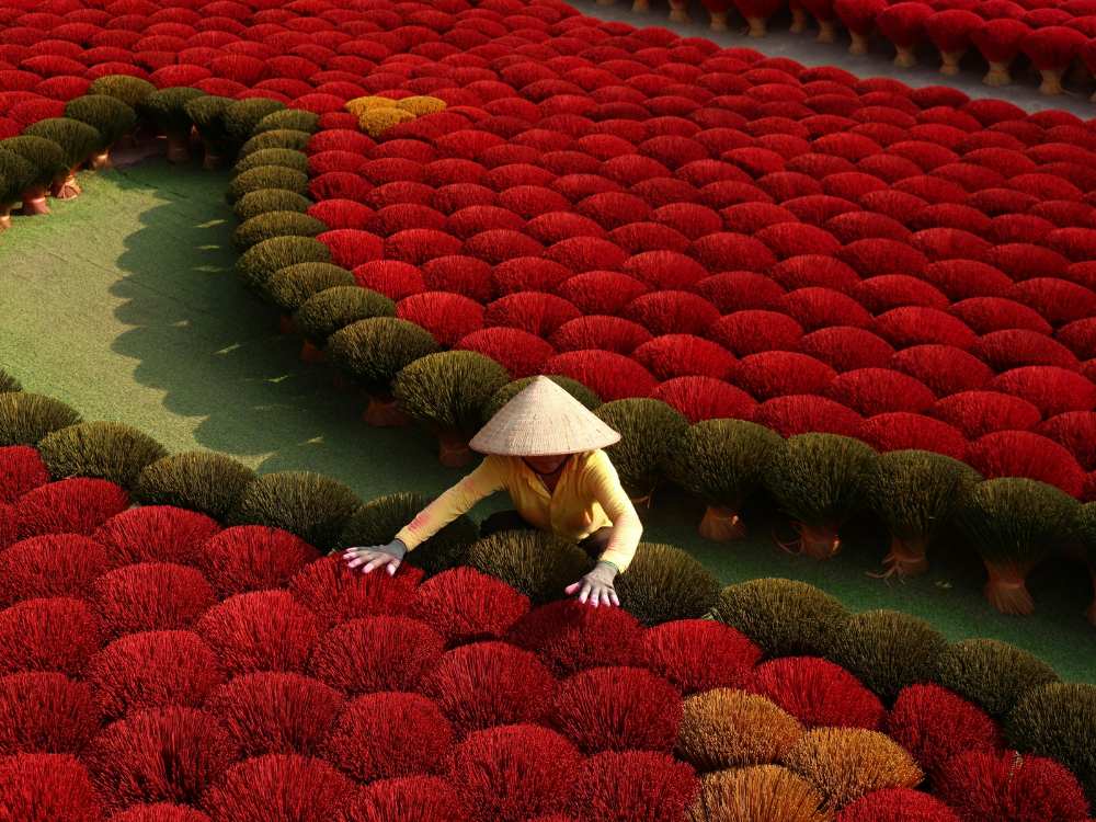 A person sitting amidst the red incense field in Vietnam