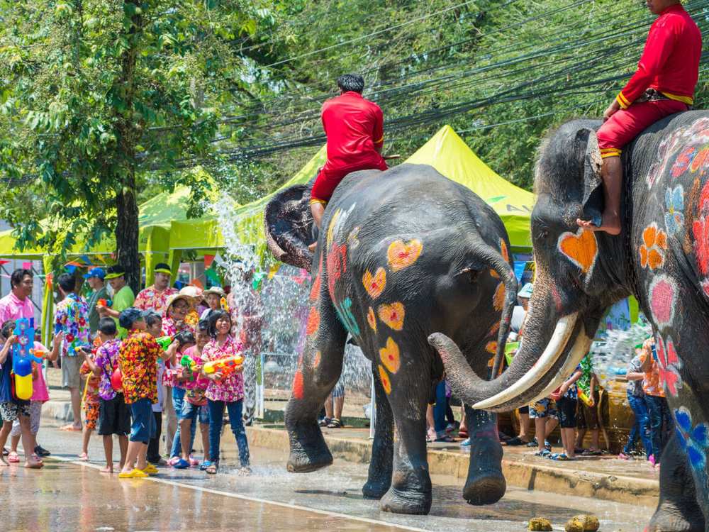 Elephants spraying water on tourists at Songkran in Ayutthaya