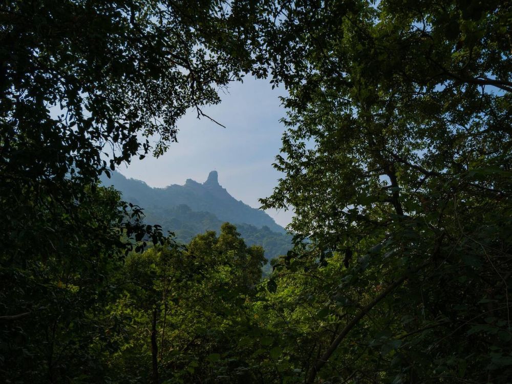Karnala Bird Sanctuary, Maharashtra