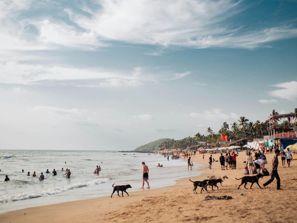 Golden sands and waves at Baga Beach, one of Goa's most popular coastal destinations.