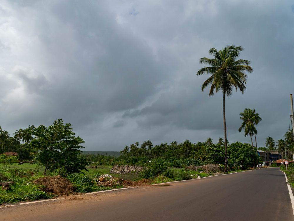 Empty road in Goa during Monsoon: This is how Goa looks during Monsoon