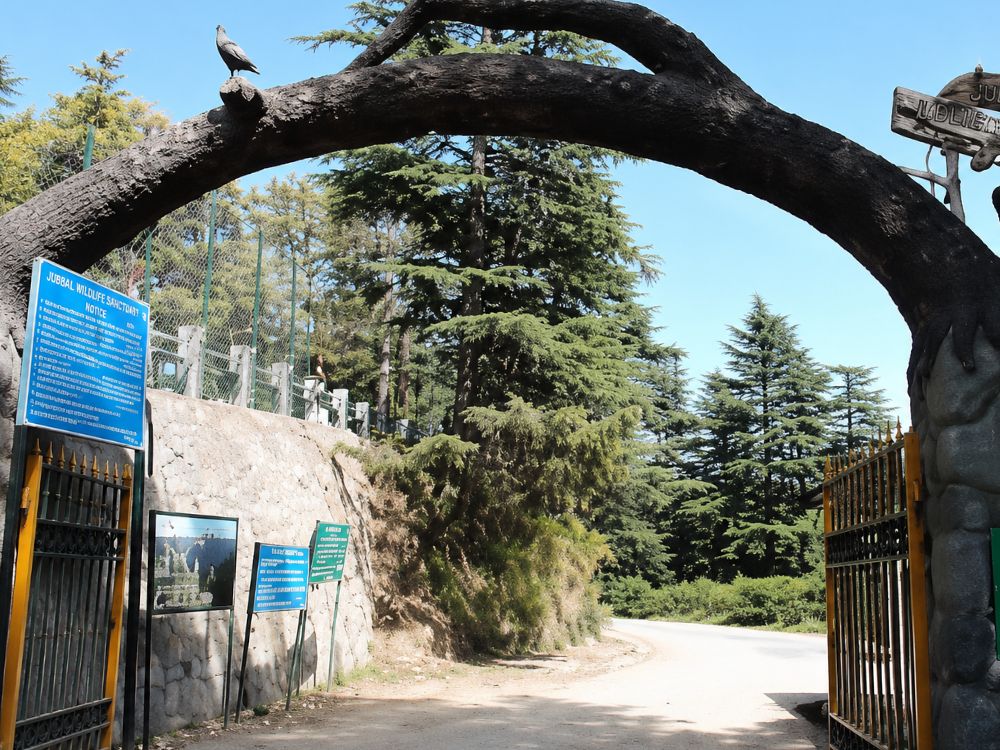 Shimla Water Catchment Wildlife Sanctuary