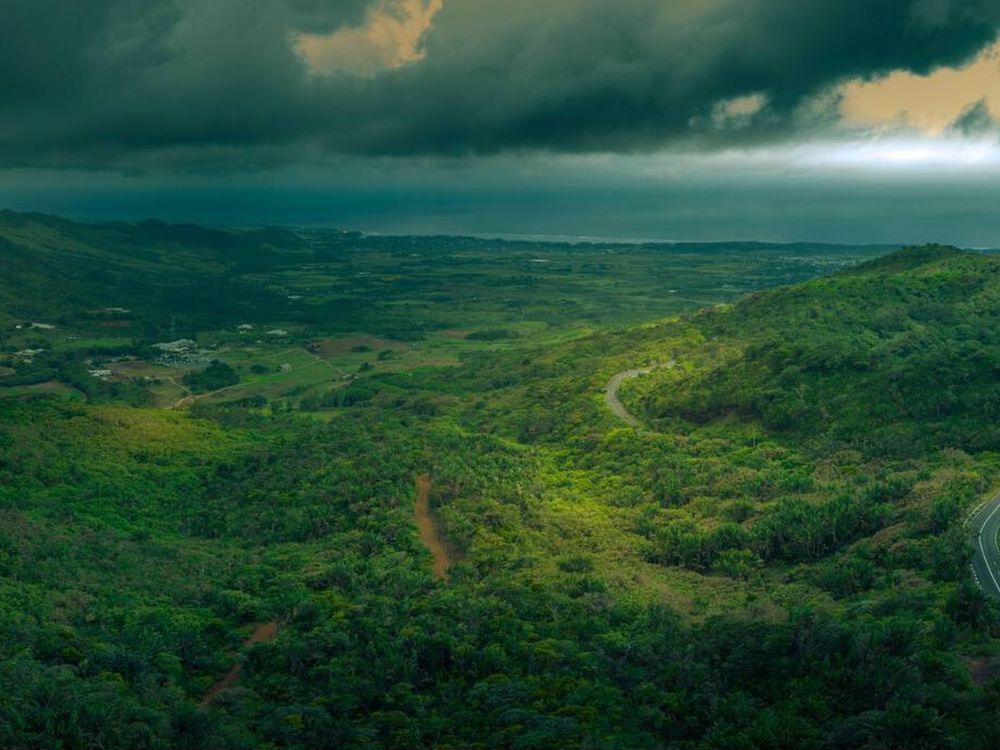Aerial View of Road through Black river Gorges National Park in Mauritius