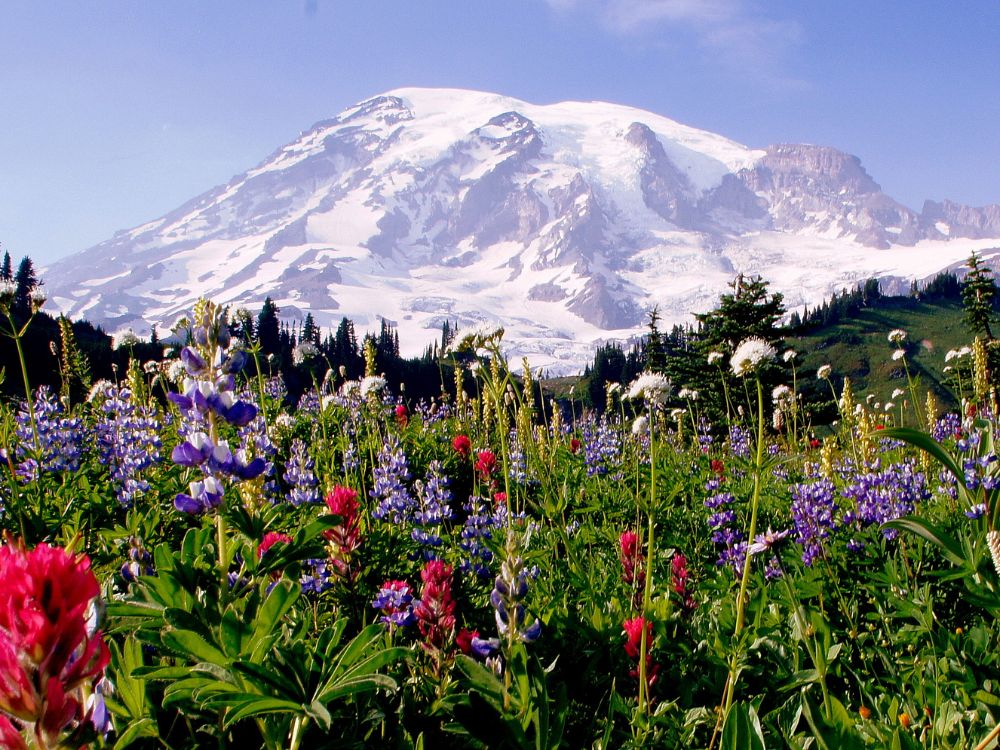 Mount Rainier in USA