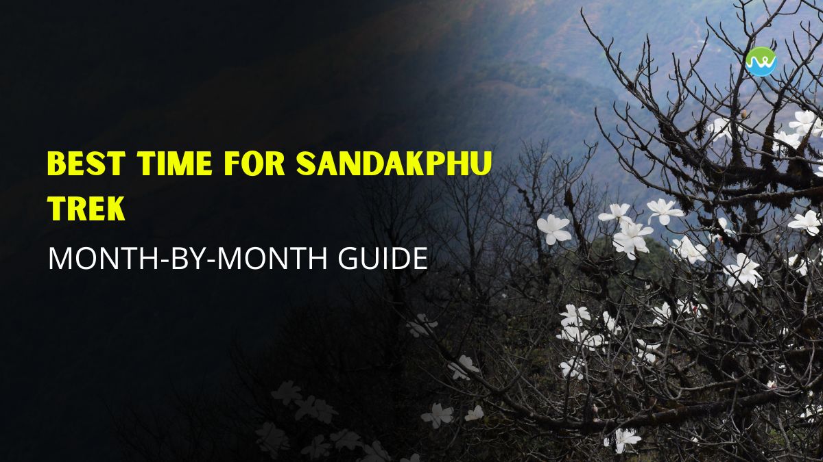 Best Time for Sandakphu Trek: Month-by-Month Guide