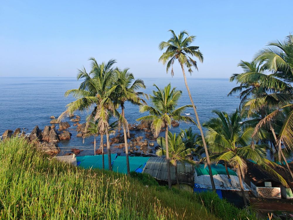 Scenic view of palm trees, Goa, India