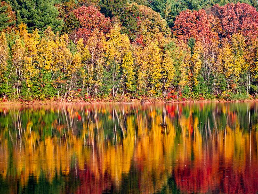 Colors of Fall in New England in USA