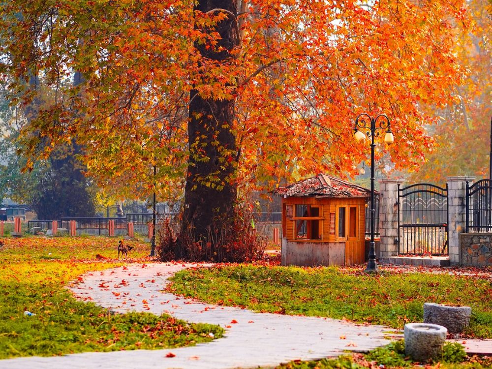 Kashmir in the autumn season - best couple destination in october