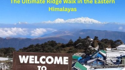 Four of the World's 5 Highest Peaks can be witnessed from Sandakphu-phalut trek