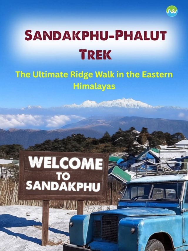 Sandakphu-Phalut Trek