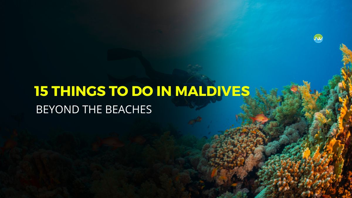Things To Do In Maldives