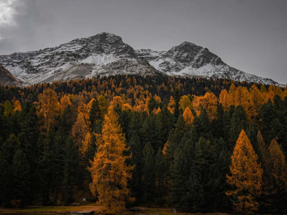 Autumn in Switzerland