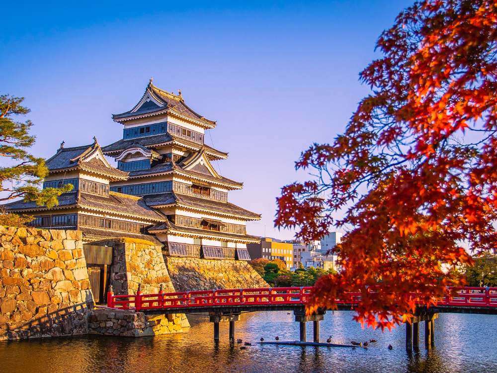 Matsumoto Castle with Maple Leaves in Autumn in Nagano, Japan